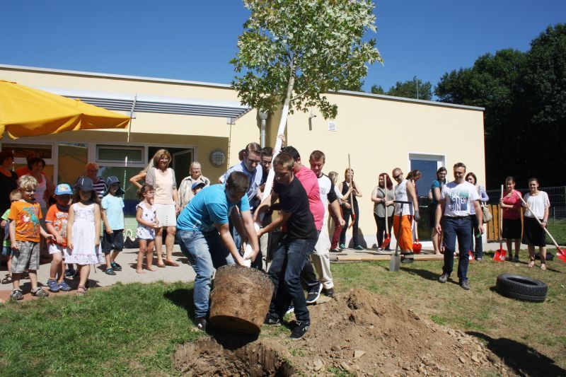 Beherztes gemeinsames Zupacken: Neue Auszubildende der Stadt pflanzten einen Baum.
