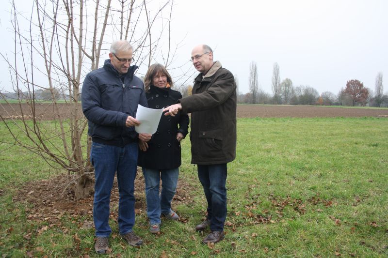 Vor dem Feld-Ahorn: v.l. Hans-Bernd Bendl, Ulrike Tesch, Leiterin des Amts für Umwelt- und Klimaschutz, und Technischer Beigeordneter Helmut Wiesner