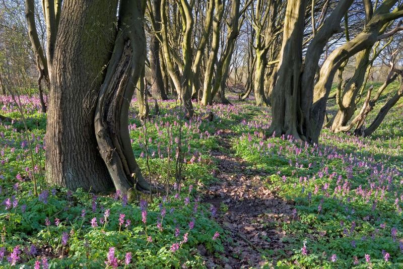 Natur hautnah: Viel Spaß beim Wandern in den Aggerauen!
