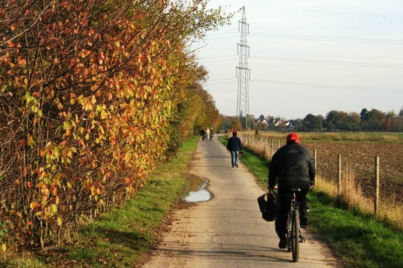 Fahrradfahrer auf einem Weg