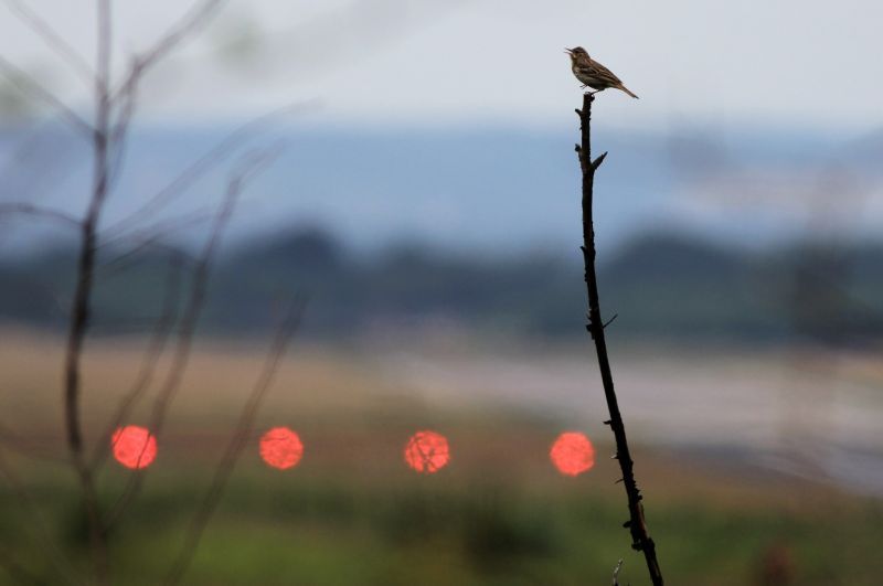 Blick auf das ehemalige Camp Altenrath. Foto: Gerhard Kriso.
