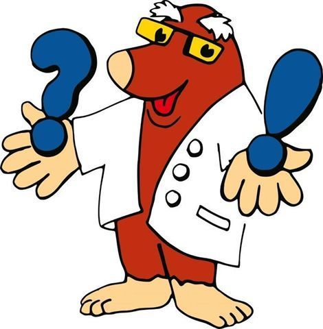 Maulwurf Albert Frage/Antwort Bild