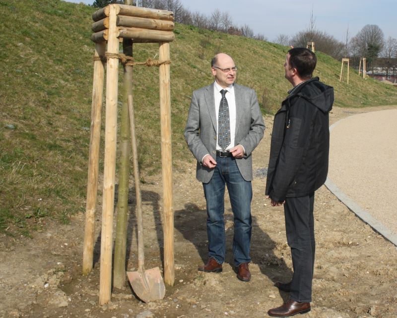 Neue Bäume am Sportpark Oberlar: Helmut Wiesner (links) und Thomas Pätzold an einer neuen Rosskastanie in Oberlar.
