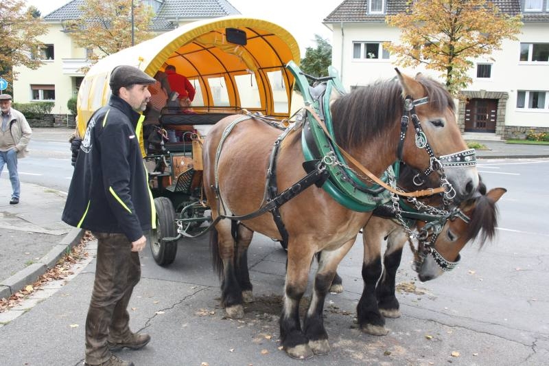 Der Kutscher mit seinen Pferden am Samstag vor der Burgallee.