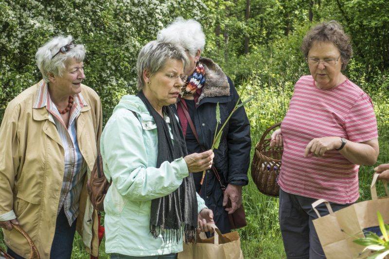 Seniorinnen begutachten Wildkräuter
