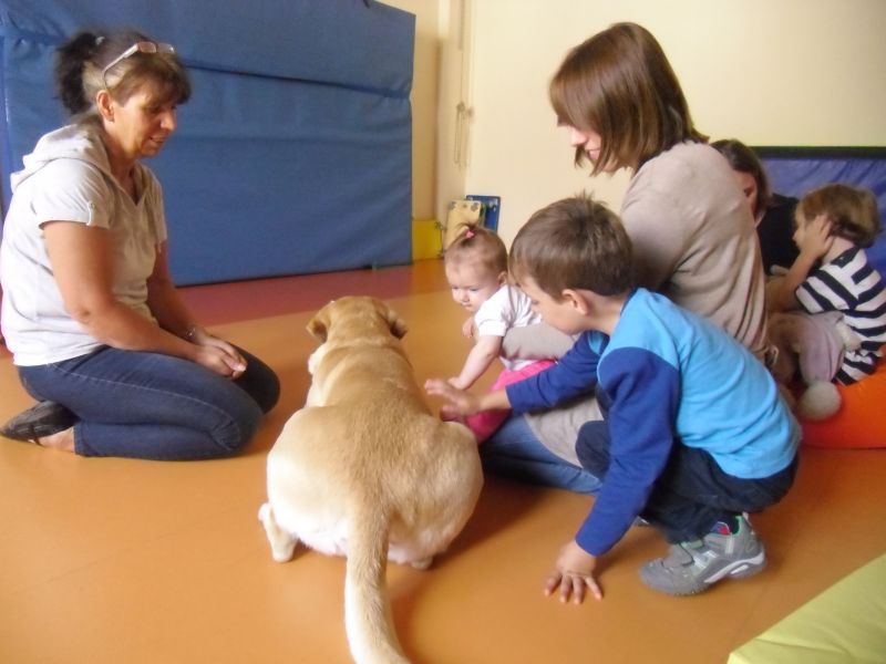 Sam, der Labrador, stand bzw. lag im Mittelpunkt beim Spielen mit den Kindern und Eltern, links Angela Engels.