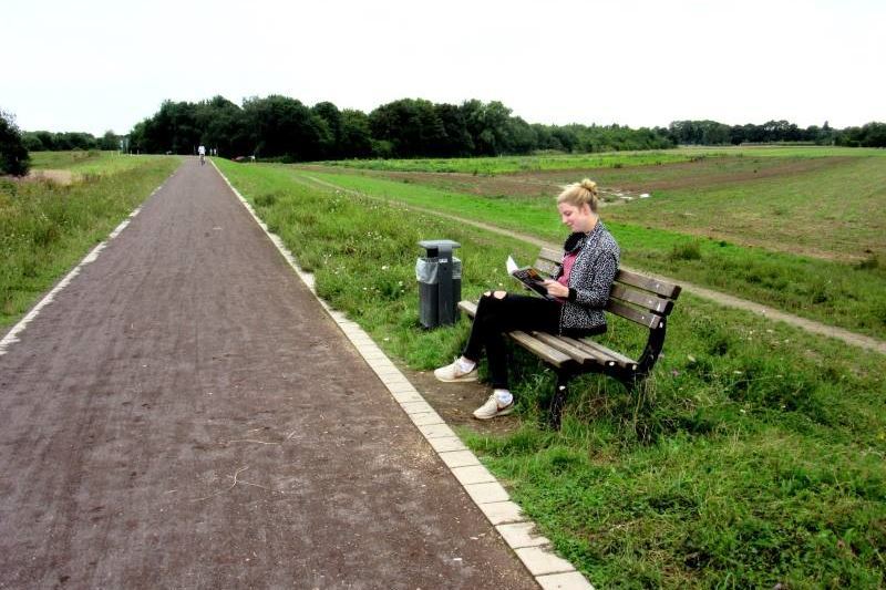 Schöne Aussichten: Bänke auf dem Siegdeich laden zum Verweilen in praller Natur ein.