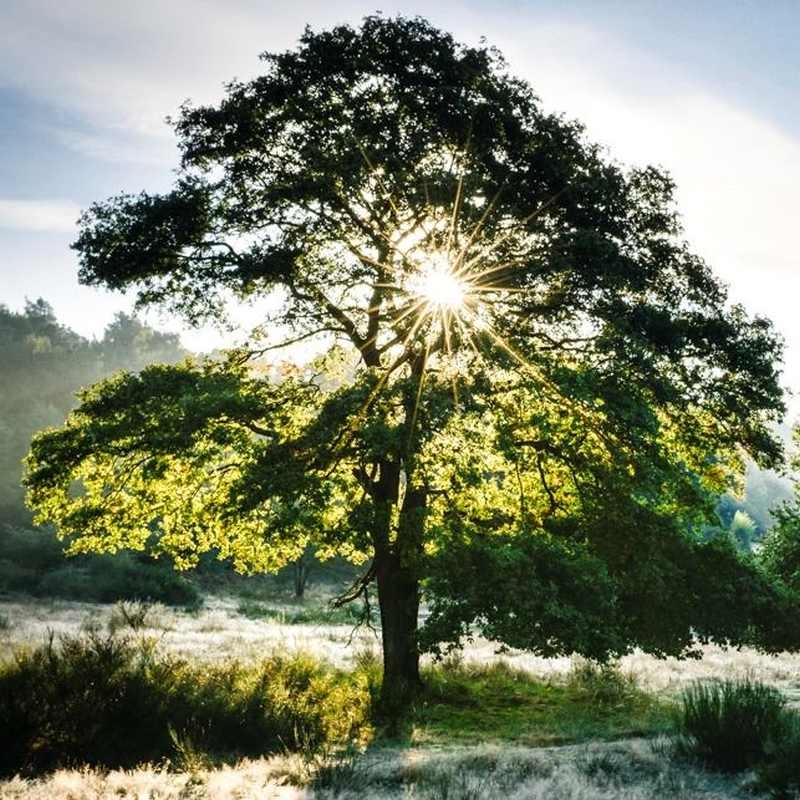 Viele Erlebnisse für die ganze Familie in der Wahner Heide.