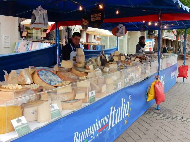 Diverse Käsesorten zur Auswahl