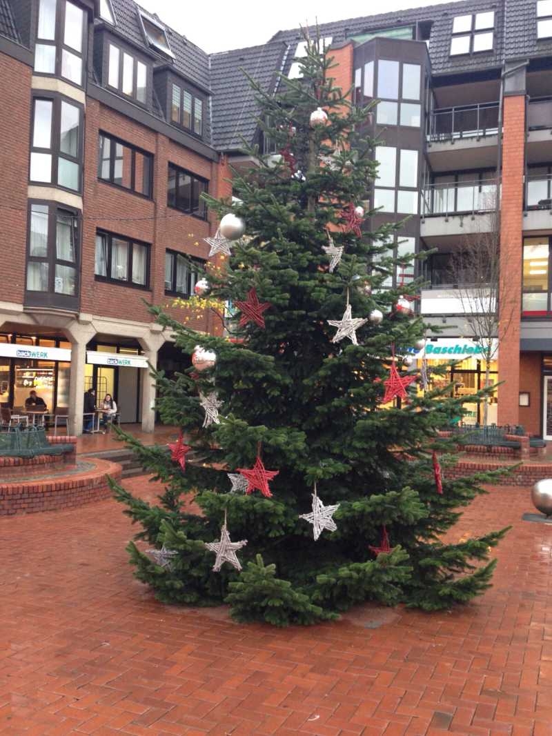 Der Weihnachtsbaum der TroDucks von 2015