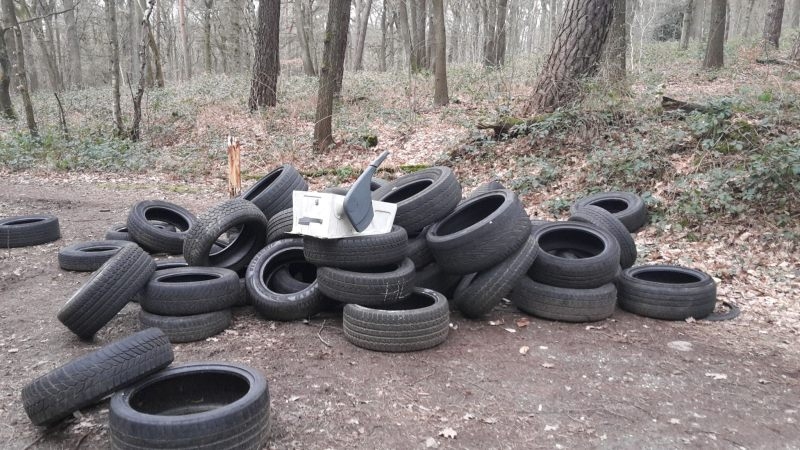 Autoreifen werden häufig an Parkplätzen inmitten der Natur abgelegt - eine Ordnungswidrigkeit der besonders frechen Art.