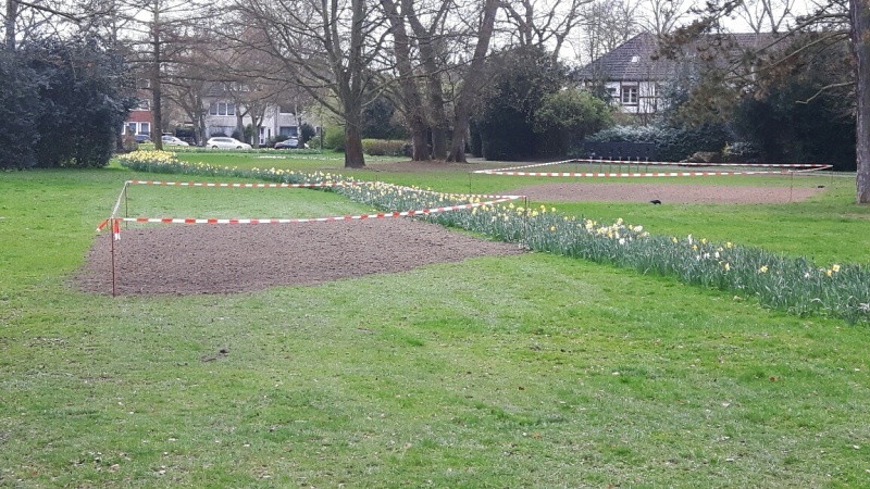 Fläche für Blumen auf der Burgwiese.