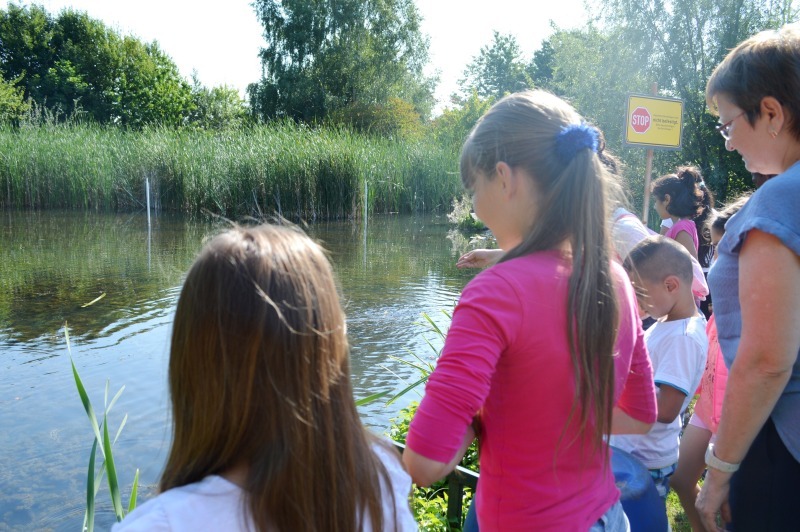 Die Kinder erkundeten Fauna und Flora im und rund um den Lehrteich in Niederkassel.