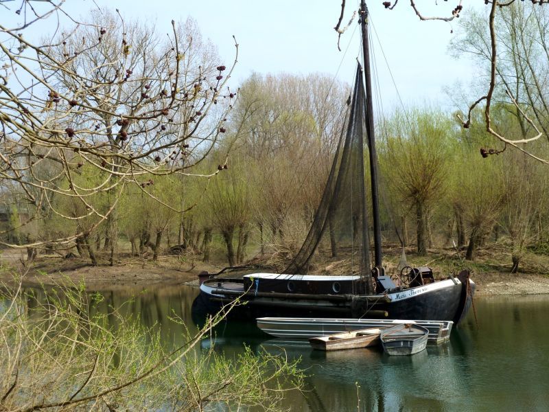 Vorbei am historischen Aalschokker im alten Rheinarm führt die L 269.