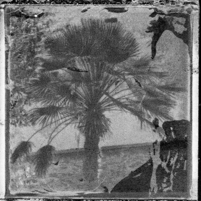 Licht-Bild von Ilse Wegmann