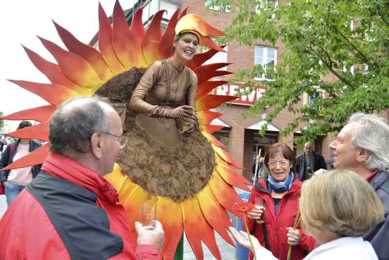 Zum Augenschmaus gehörte auch eine Sonnenblume auf langen Beinen.