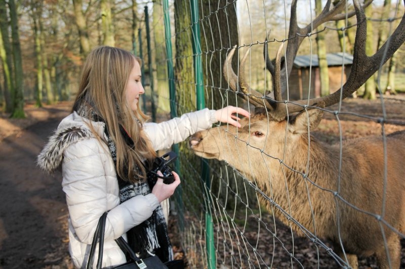 Am Wildgehege im Hirschpark an Burg Wissem.