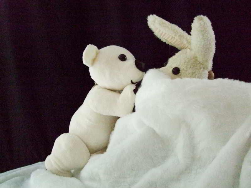 Eisbär und Angsthase in Aktion.