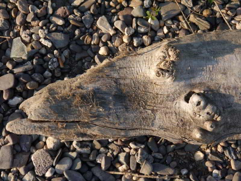 Manuela Renz, Figuren.