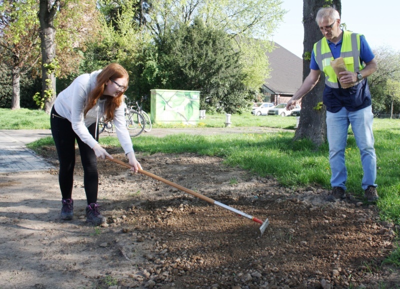 An der Ecke Moselstraße und Blücherstraße wurde eine Blumenwiese angelegt.