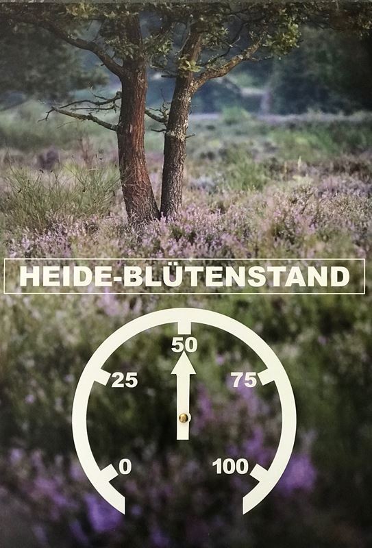 Das Heide-Barometer am 16. August!