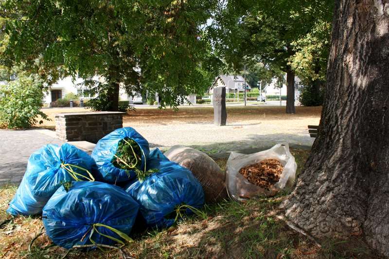 Kein schöner Anblick auf dem Jahnplatz.
