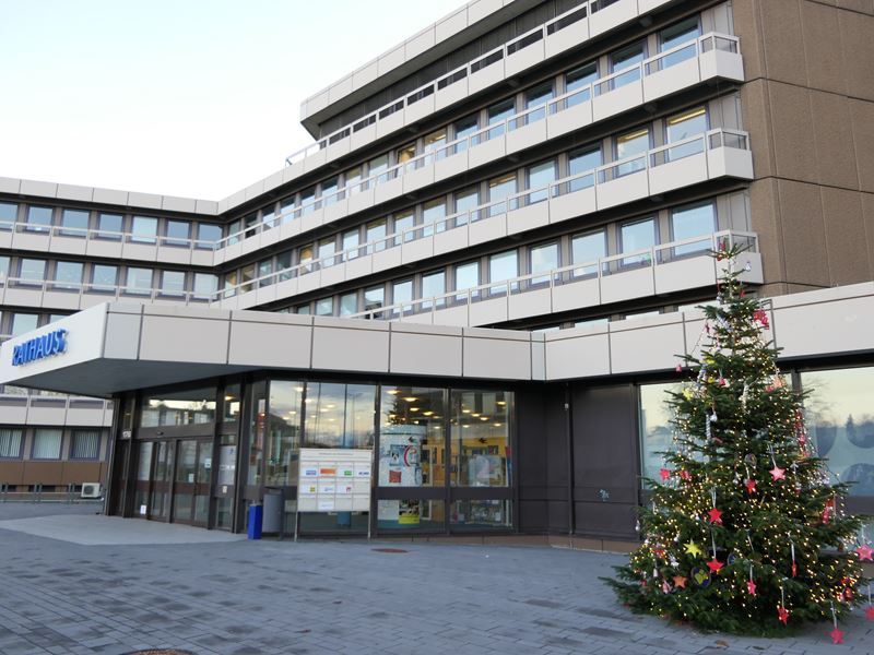 Kinder schmückten den Weihnachtsbaum vor dem Rathaus.