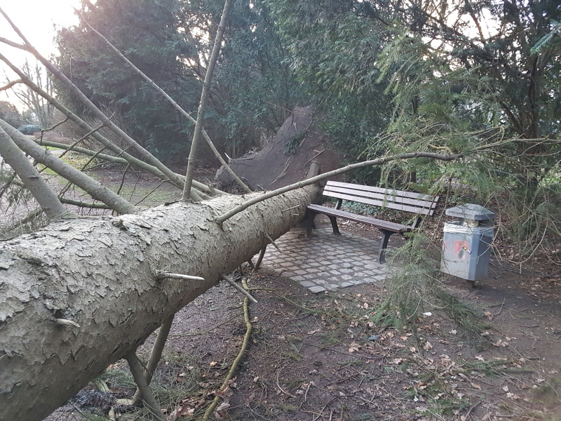 Nach Sturm Friederike im Park der Burg Wissem.