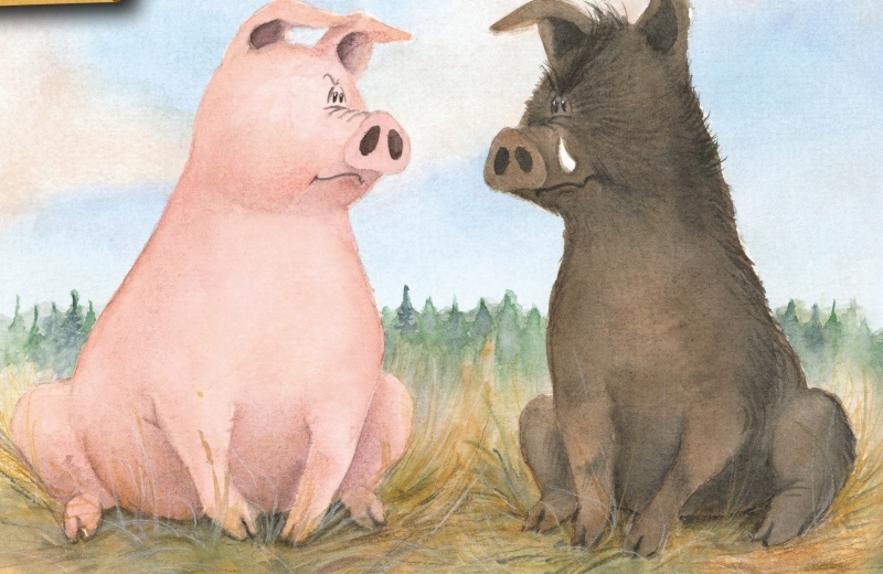 Motiv vom Buchcover des Don Bosco Verlags.