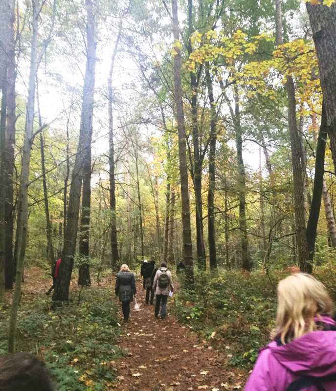 Waldwanderungen sind gesund.