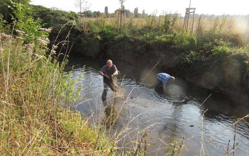 Nasse Handarbeit: Der Mühlengraben in Sieglar wurde drei Wochen lang auf sechs Kilometer Länge gereinigt.