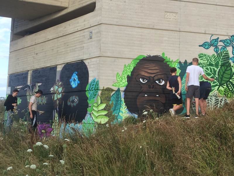 Ungewohnter Anblick: Dschungel an der Umgehungsstraße.