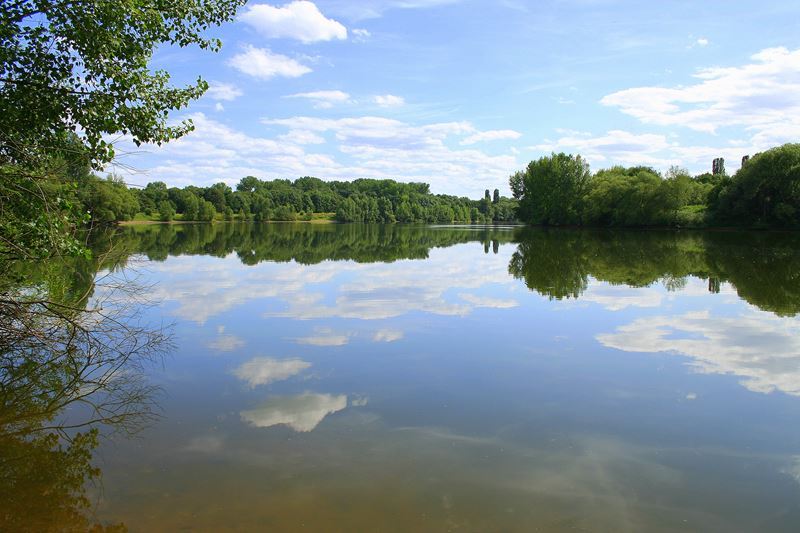 Pralle Natur, pralle Idylle: Der Sieglarer See.