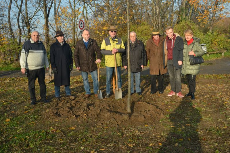 V. l.: Alfons Bogolowski, Horst-Peter Jung, Wolfgang Högemann, Peter Lohr, Matthias Esch, Kurt P. Schneider und Gisela Günther aus Sieglar und Rotter See mit Niels Plugge (2. v. r.) von der Jungen Union, die den Anstoß zu der Baumpflanzaktion gab.