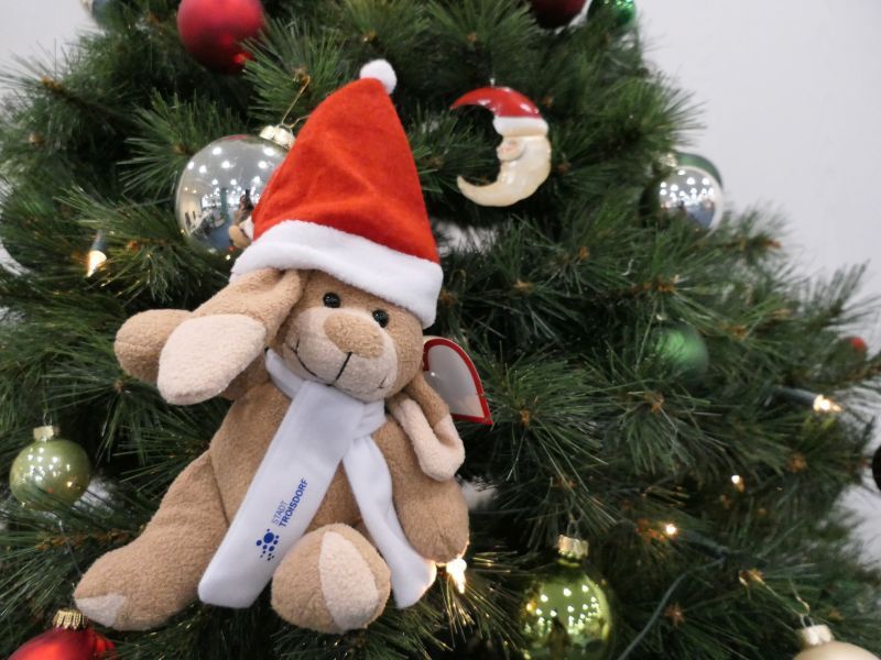 Troberta mit Weihnachtsmütze.