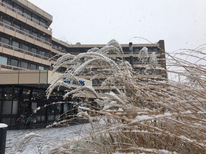 Das Rathaus Troisdorf im Schnee