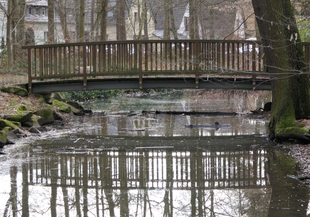 Burg-Wissem-Troisdorf-Burggraben