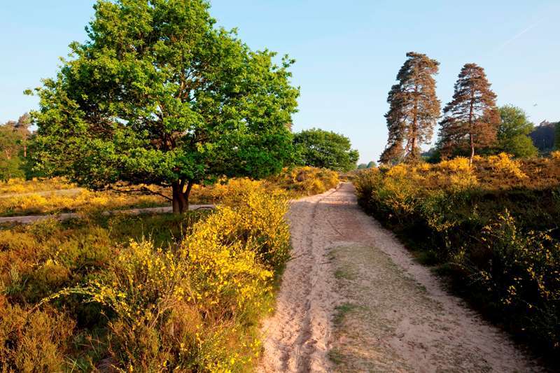 Ein Ausflug in die Wahner Heide lohnt sich immer.