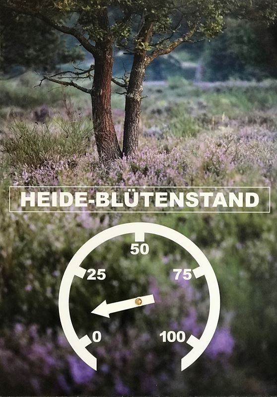 Das Heidebarometer zeigt den aktuellen Blütenstand der Heide.