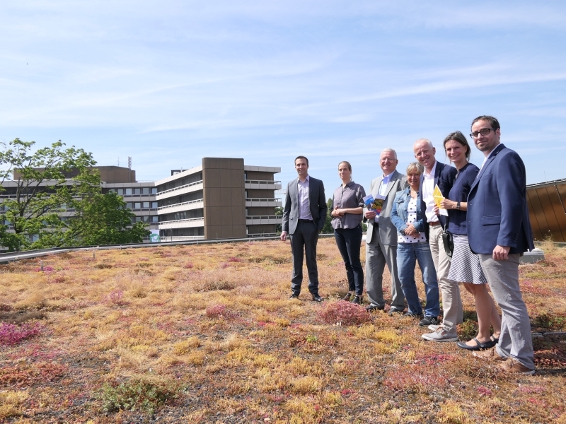 Im Grünen auf dem Dach der Troisdorfer Stadthalle.