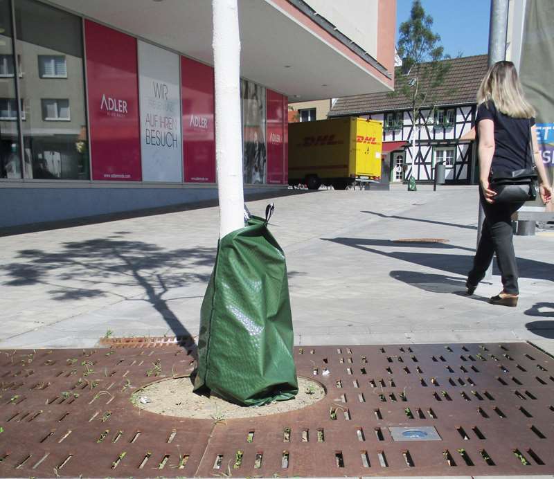 Ein Bewässerungssack an einem jungen Baum.