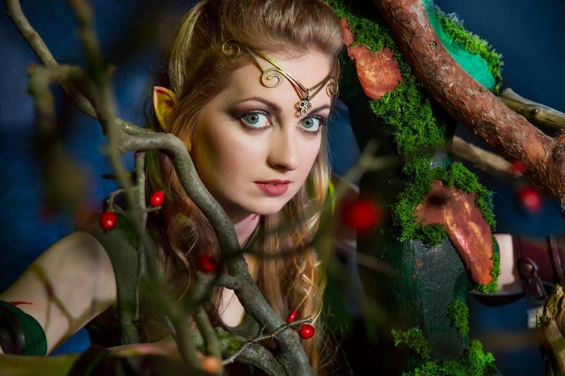 Szene vom Elfen-Thron.