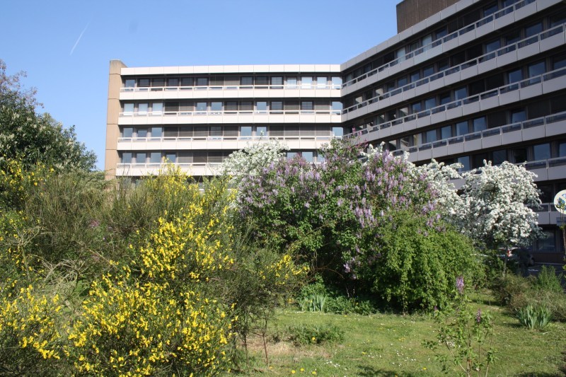 Das Kunstwerk Begegnung vor dem Rathaus.