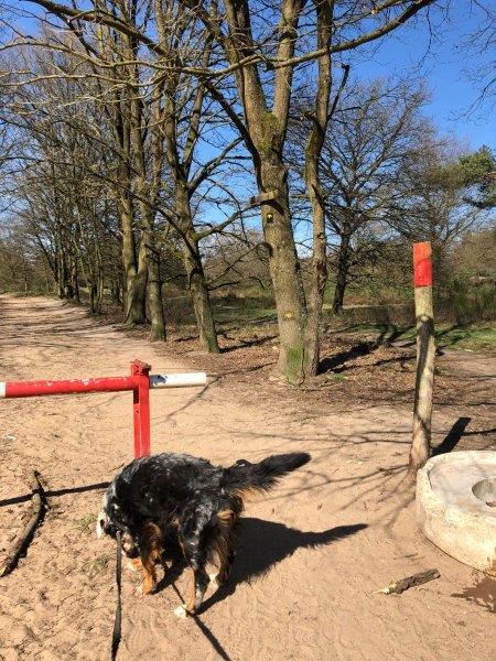 Hunde sind an der Leine zu führen.