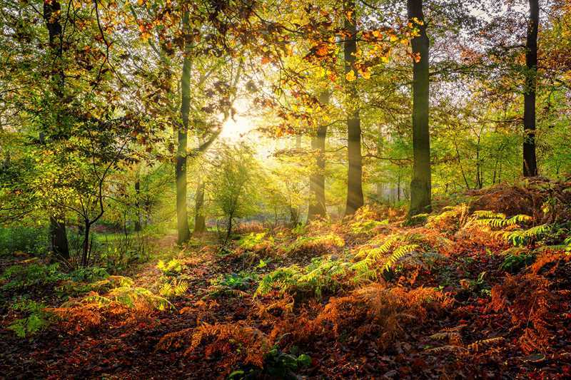 Kalender zur Wahner Heide. Foto:Stefan Pütz.