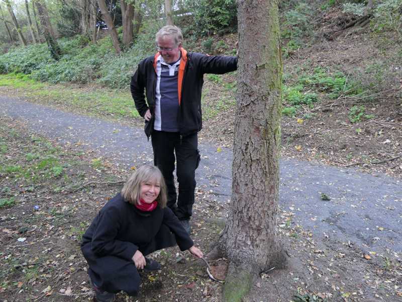 Flacher Lackporling an einer abgestorbenen Fichte: Ulrike Tesch und Ingo Lapuse kontrollieren den Baumbestand.