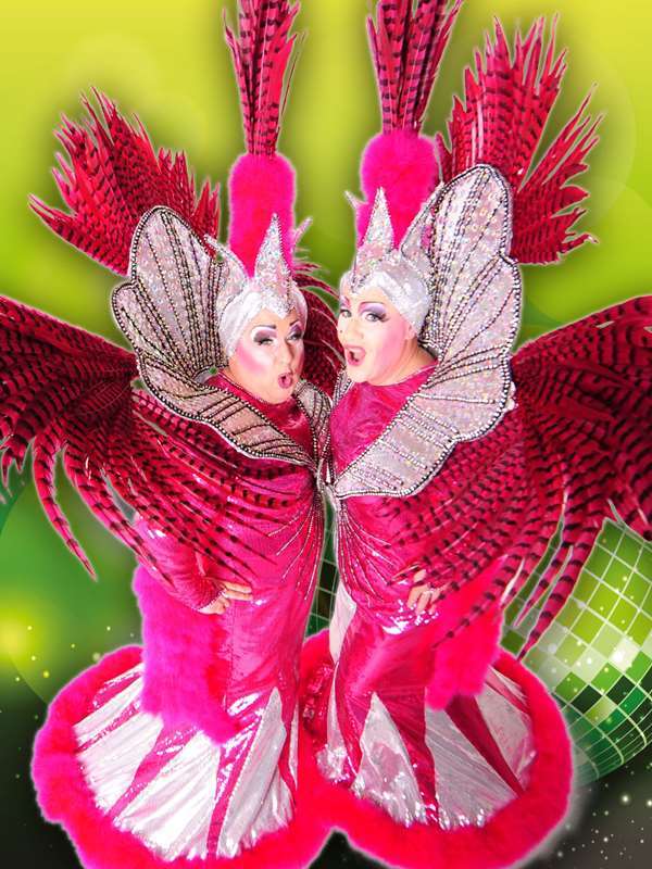 Ham & Egg in Pink und Hochform demnächst in der Stadthalle.