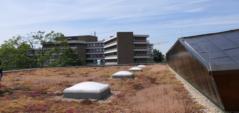 Blick über das Dach der Stadthalle. 