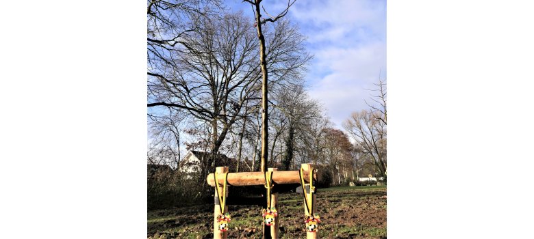 Symbolisch die Karnevalsorden für das Spicher Dreigestirn.