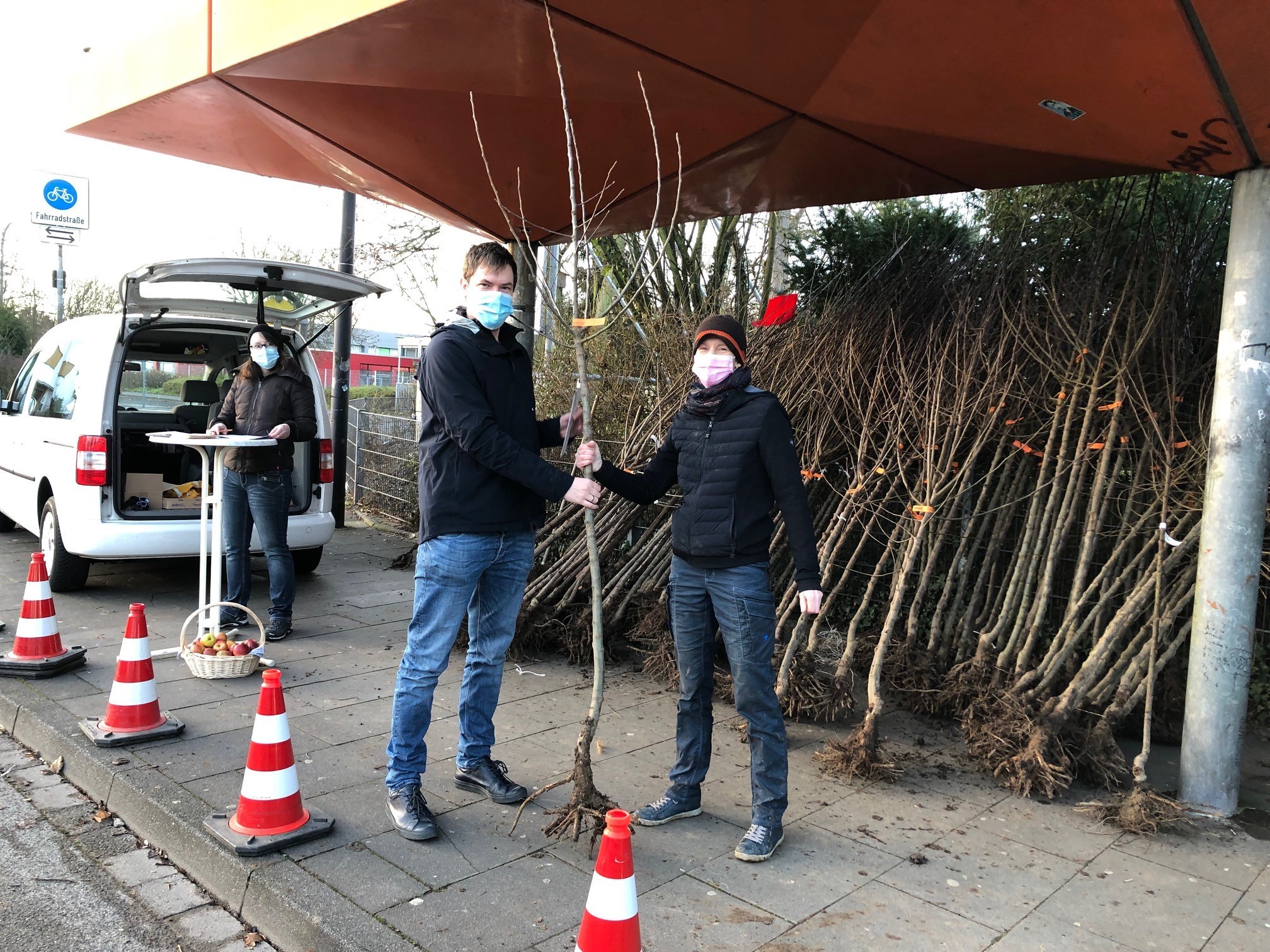 Obstbaum-Abgabe der Stadt. 